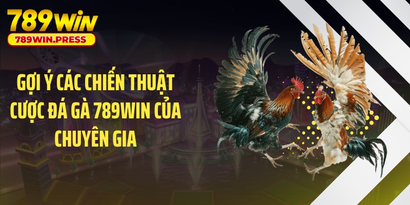 Gợi ý các chiến thuật cược đá gà 789WIN của chuyên gia