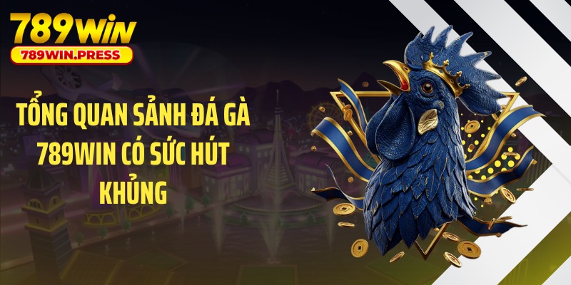 Tổng quan sảnh đá gà 789WIN có sức hút khủng